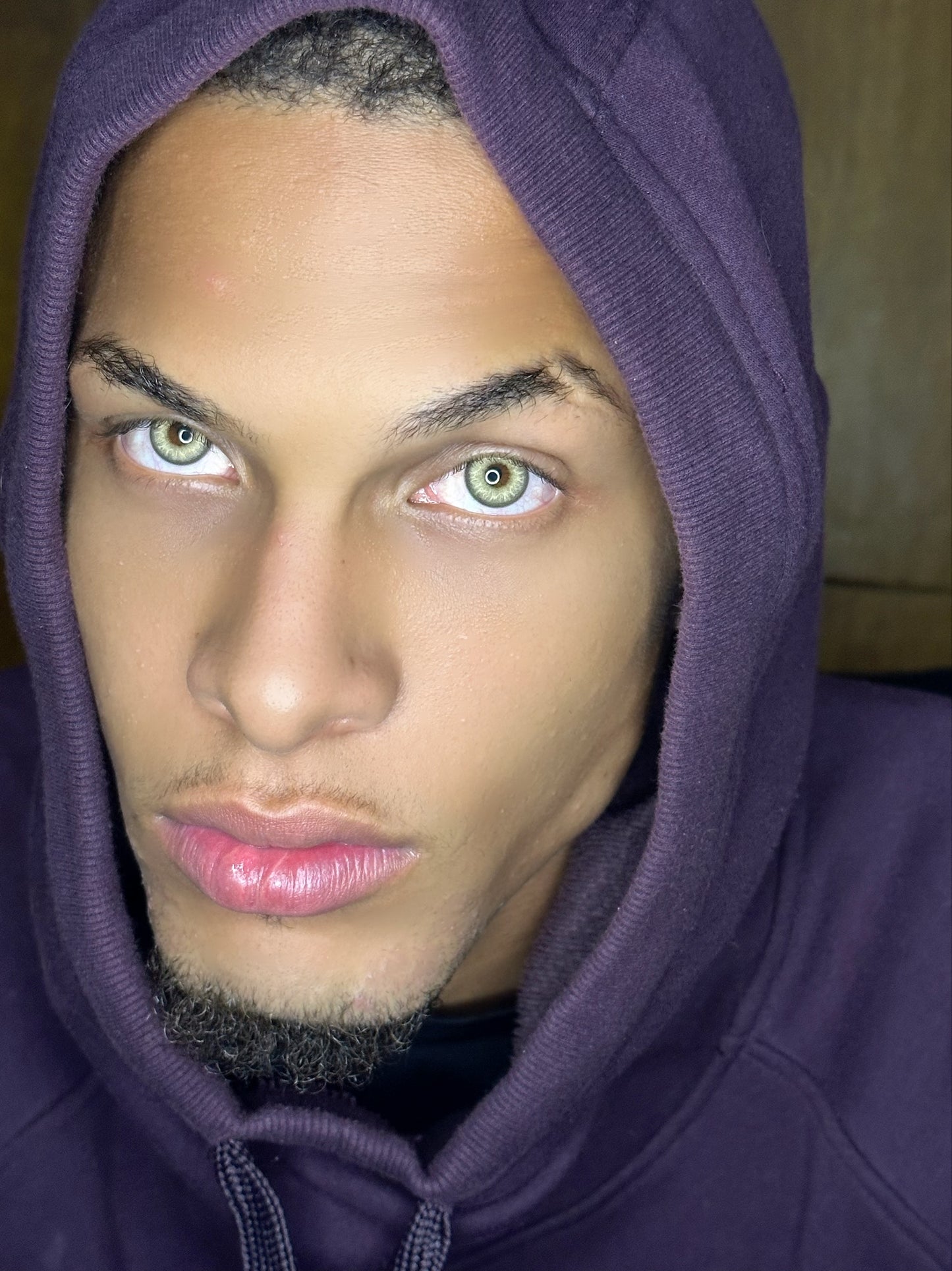 Himalaya gray LA
