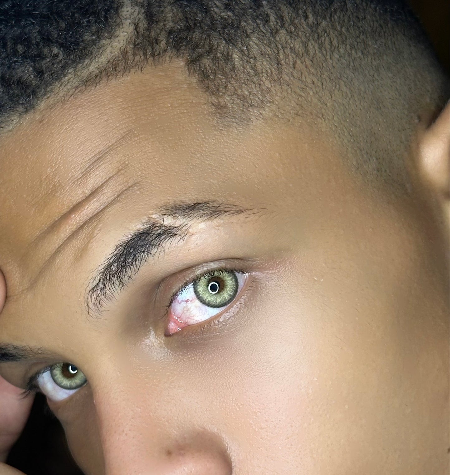 Himalaya gray LA