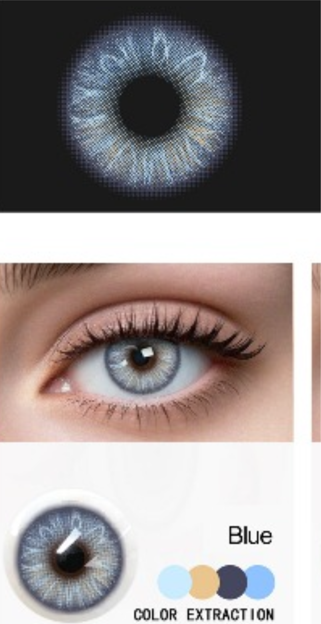 Iris Blue LA