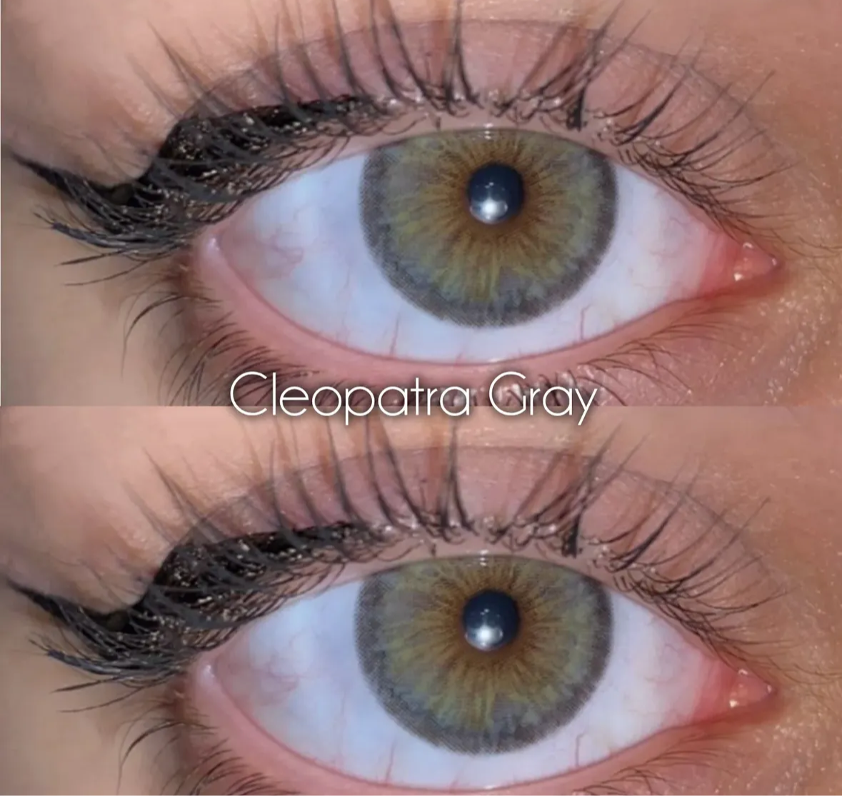 Cleopatra gray Urban Layer (pupila reducida)